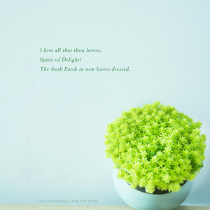 18少爷KTV被Gay囗互
